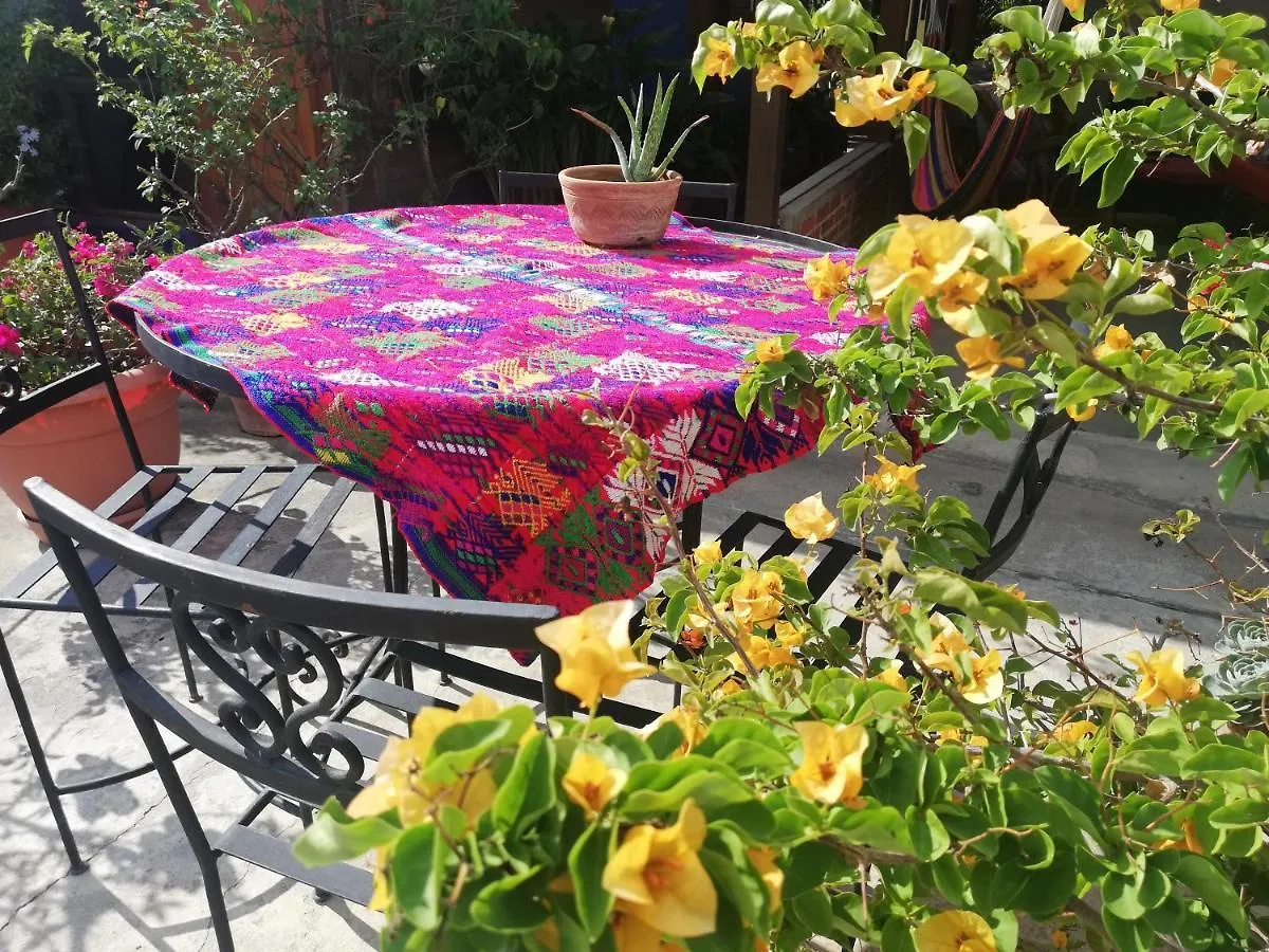 Yellow House Hostel B&B Antigua