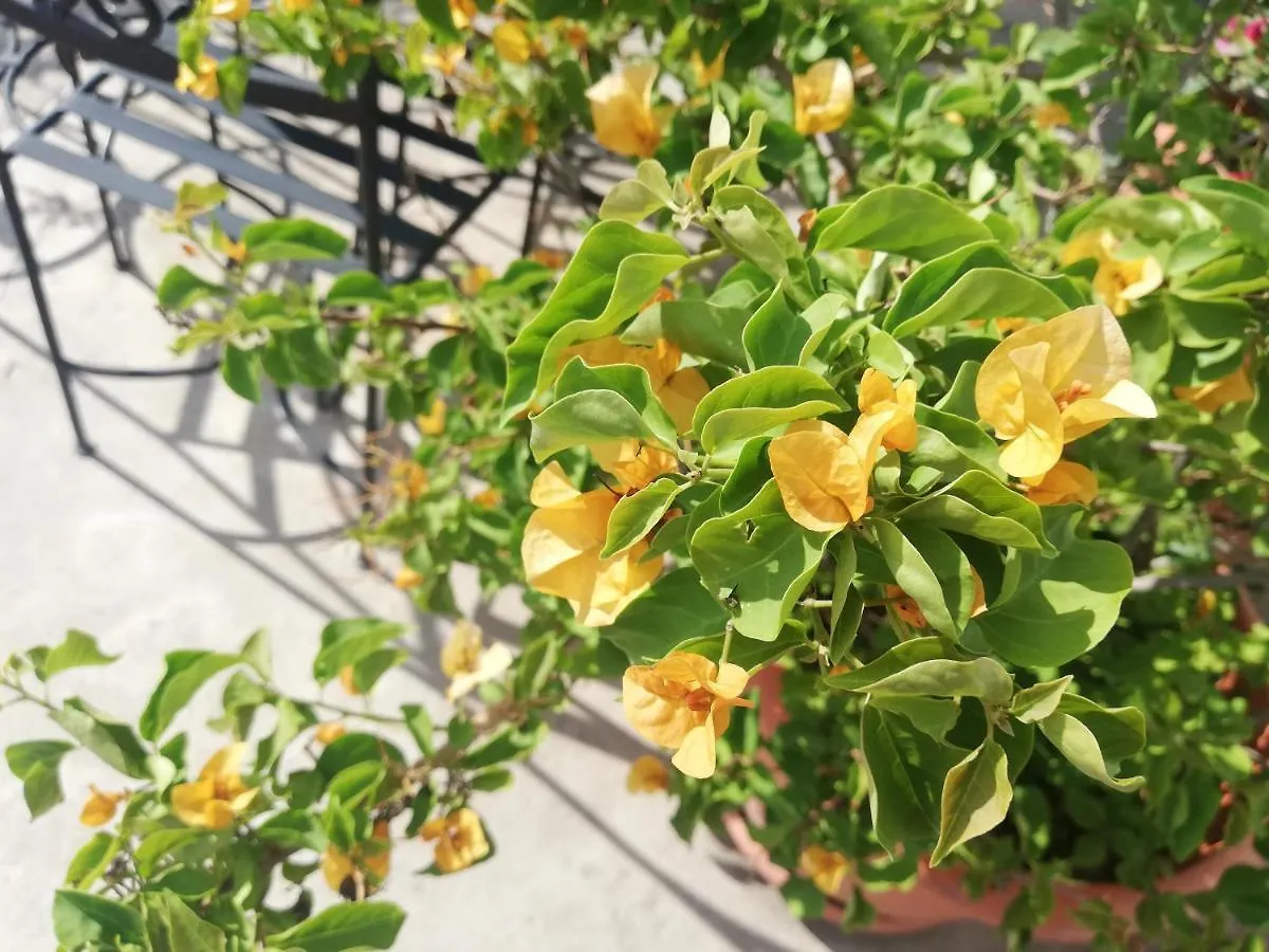 Yellow House Hostel B&B Antigua Γουατεμάλα