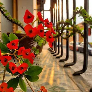 Hotel Meson De Maria, Antigua