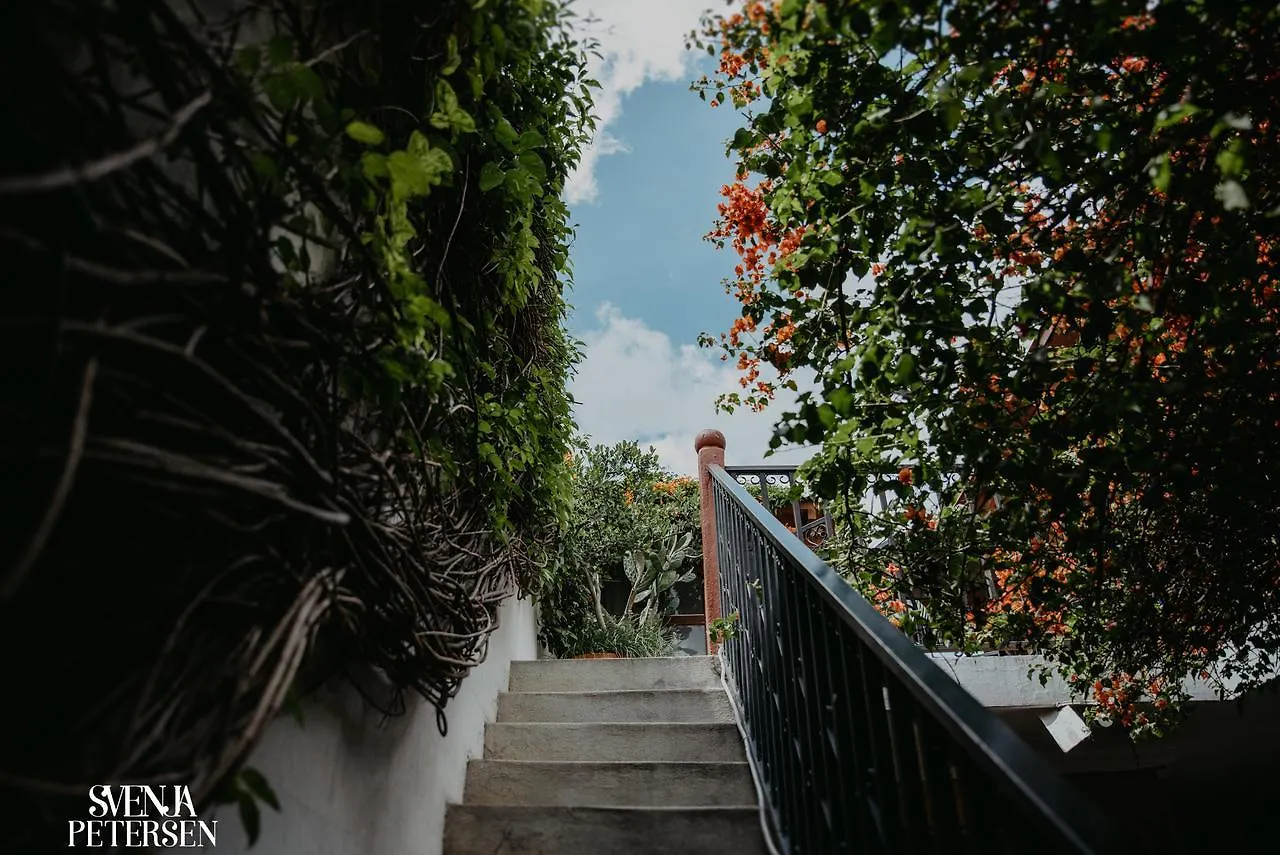 Yellow House Hostel B&B Antigua 0*,