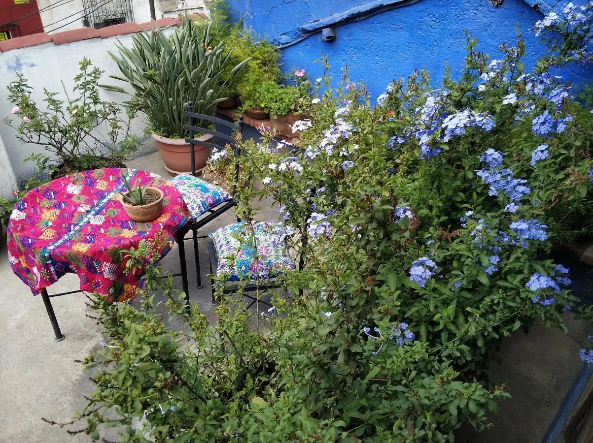 Yellow House Hostel B&B Antigua