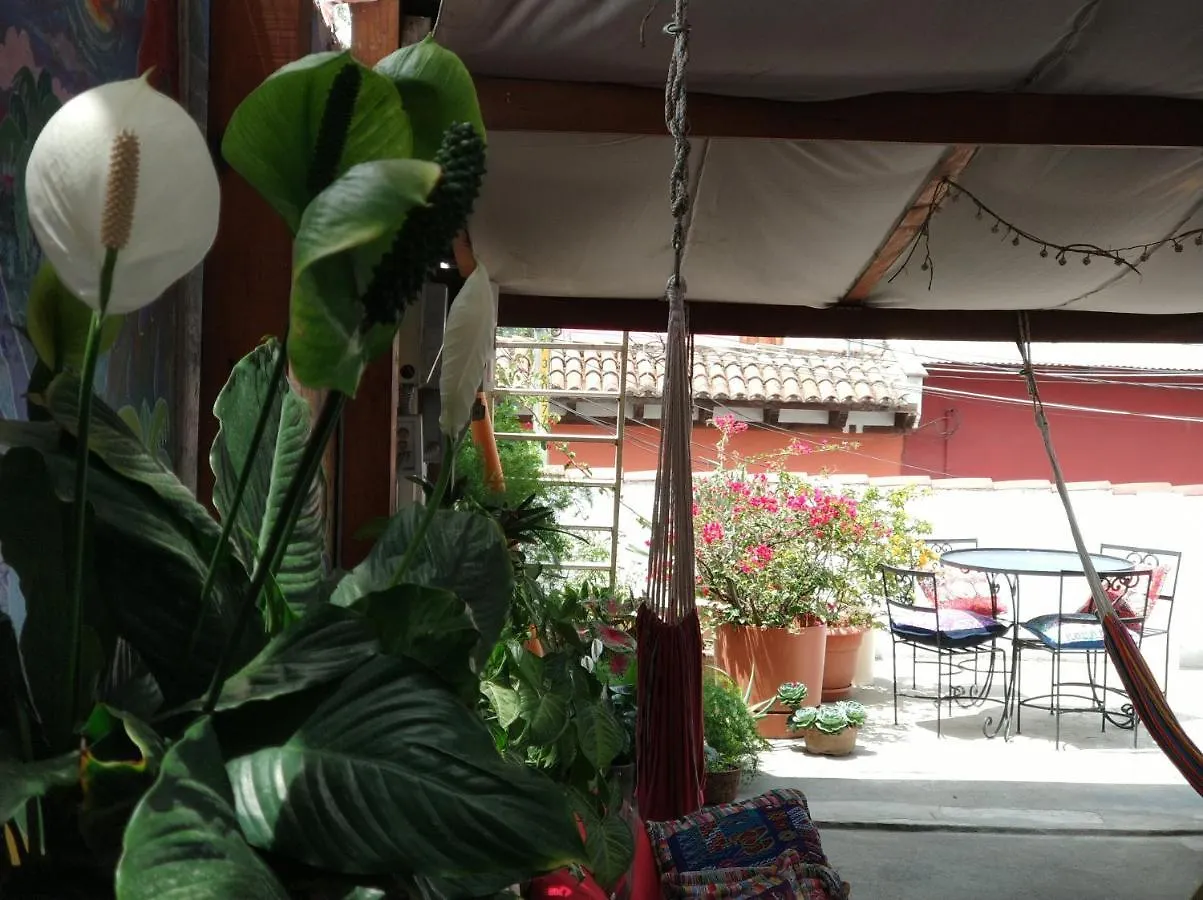 Yellow House Hostel B&B Antigua 0*,  Guatemala