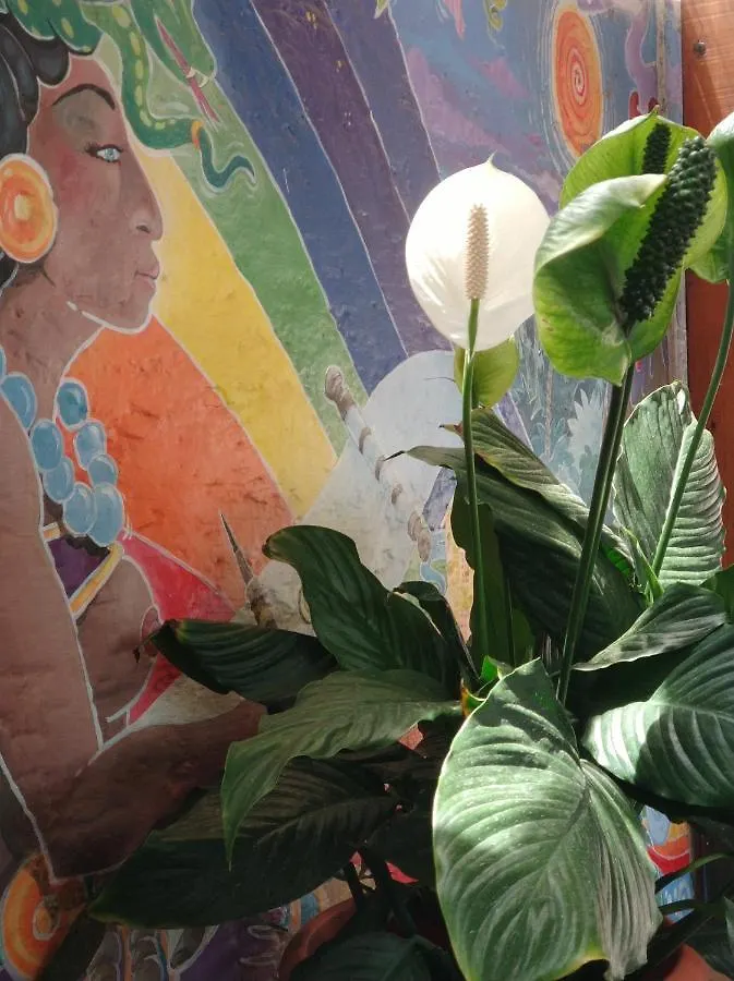 Yellow House Hostel B&B Antigua
